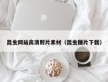 冠县昆虫网站高清照片素材（昆虫图片下载）